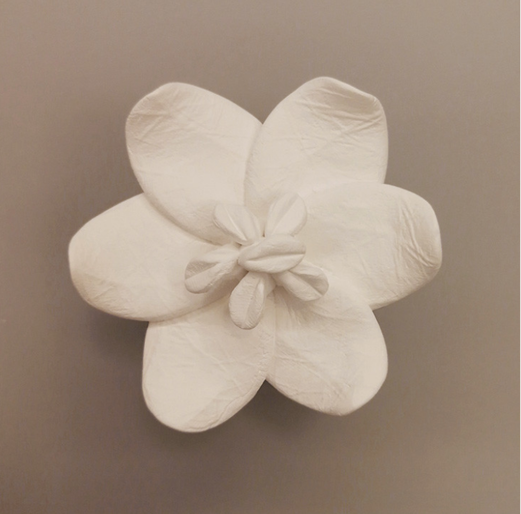 Diffuseur de parfum - Fleur de Jasmin - Parfumeur d'ambiance