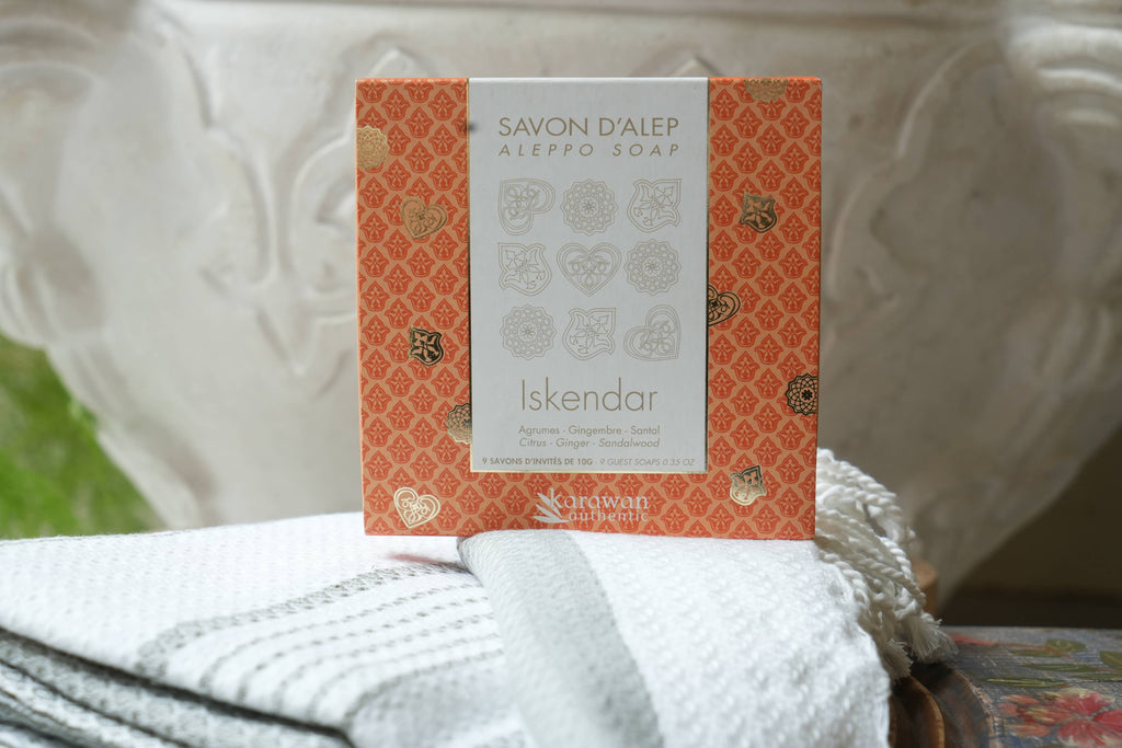 SAVON D'ALEP PARFUM AGRUMES - COFFRET CADEAU 9 x 10G