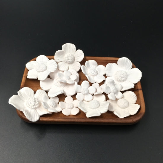 Fleurs des Maldives Plateau diffuseur