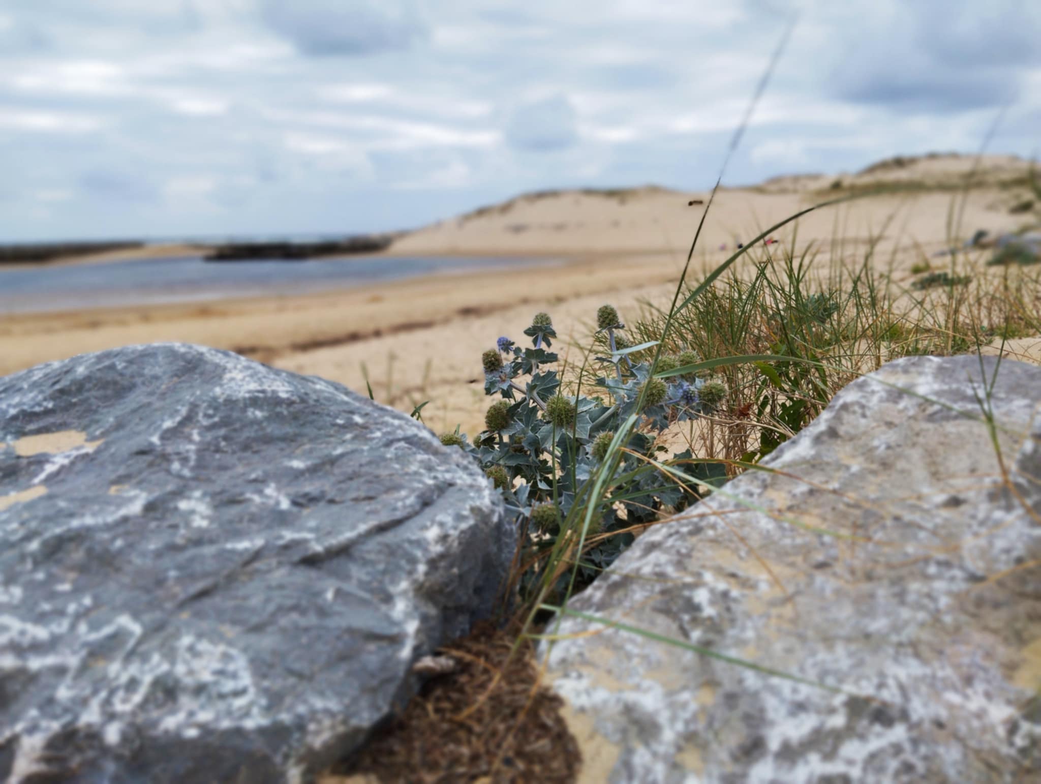 Carte Cadeau Corinne Institut Cahors