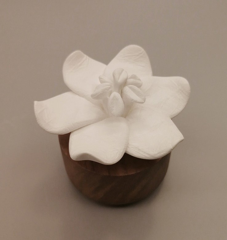 Diffuseur de parfum - Fleur de Jasmin - Parfumeur d'ambiance